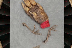 A closeup vignette of a lizards foot wrapped with red thread and two birds legs within a decorated frame. A card states “ just my luck I have to take a red card”