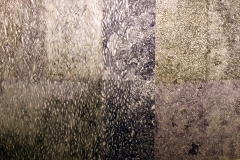 A segmented abstract painting with blocks of different shades of muted dark tones. Within the frames is a cellular microscopic pattern.