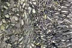 An abstract painting reminiscent of microscopic layers of cells