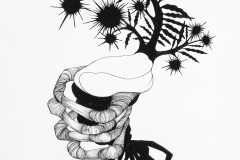 Large black and white drawing exploring invented specimen forms. muscle like tissue, fern leaves and pointy burrs interact within one form.