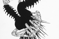 Large black and white drawing exploring invented specimen forms. Fish vertebrae-like structure spouts random foliar growths.