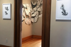 Site specific Installation at the Newport Art Museum. An overlapping stream of flowery, muscle tissue like donut forms overlap and rise up a wall.