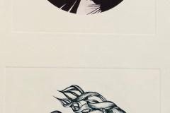 maggienowinsongoing series of photopolymer prints based observational  herbarium drawings at UMASS Amherst ki_17