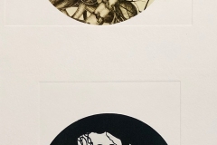 ongoing series of photopolymer prints based observational  herbarium drawings at UMASS Amherst