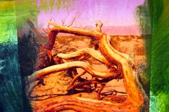 "painted and collaged on canvas, an image  of dried  tree limbs on the desert floor with a pink sky."