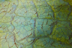 digital photograph of the hardened and cracked floor of the desert landscape