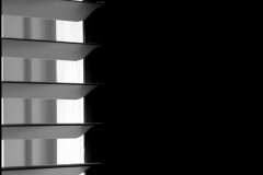 Black and white photograph of window blinds