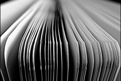 Black and white photograph of a close up of book pages