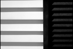 Black and white photograph of a house shutter