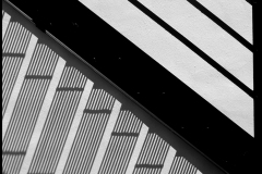 Black and white photograph of stairs and shadow