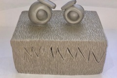 rectangular box with cookie monster features and fur texture.