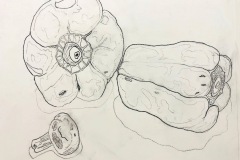 A still life. Two bell peppers are drawn with a loose wiggly outline. One pepper is laying on its side, the other one we just see its top stem part. One button mushroom is in the foreground.