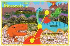 A colorful timeline of the Mesozoic Era depicts various dinosaurs and plants from 251 to 66 million years ago. Ferns, moss, and magnolias surround the dinosaurs.