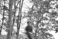 Blurred motion of figure riding a bike.