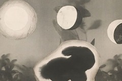 Rabbit silohouette in garden at night with moon changing phases in an arc above.