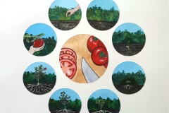 Circles depicting the growing of tomato.