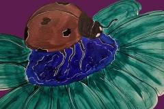 Red ladybug as the primary color and greens and purples as the secondary hue extension contrast.