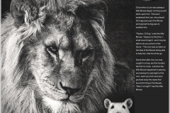 The Lion and the Mouse Layout.