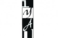 A typographical grid using letterforms to spell Diyana.