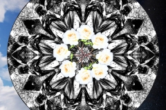 A black and white mandala with inner ring of white and orange flowers on a sky background.