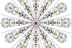 A petaled mandala with symbols and markings.