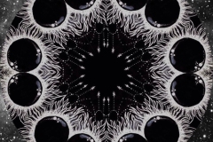 A black and white mandala with paired circles in the outer ring.