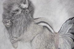 composite animal drawing, a chipmunks body holding an almond has chicken legs and tail feathers, the creature's head is a bison's head.