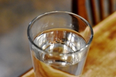 miniature swimming in glass of water.