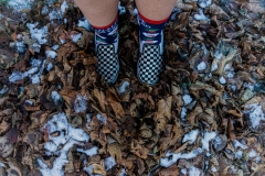 picture of legs and feet standing in dead leaves and snow.