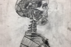 Charcoal portrait of a side profile skeleton in a denim shirt.