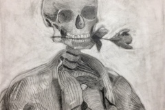 Charcoal drawing of a skeleton, holding a rose in its teeth.