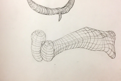 grid contour drawing of bones and gourds, the lines of the grid create the 3-dimensional element of the forms.