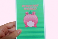 Strawbby World cover with logo for fashion company.