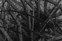 black and white image of an old broken piece of equipment with many spokes.