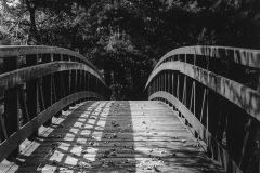 black and white image of a bridge.
