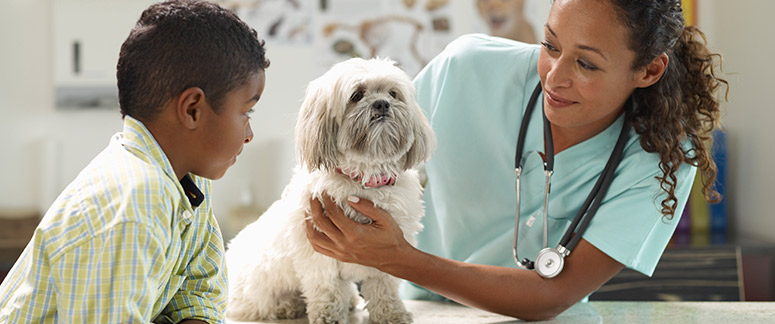 Veterinary Assistant Program (NAVTA-Endorsed) - Manchester Community College