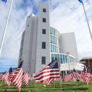 veterans-day-tower-flags